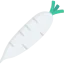 Radish icon 64x64