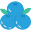 Blueberry icon 64x64