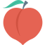 Apricot icon 64x64