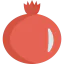 Pomegranate icon 64x64