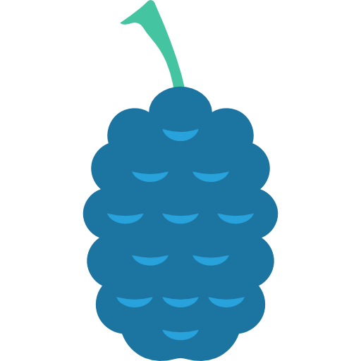 Raspberry icon