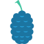 Raspberry 상 64x64