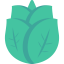 Leaf icon 64x64