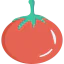 Tomato icon 64x64