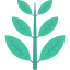 Leaves icon 64x64