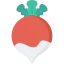 Turnip Ikona 64x64