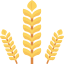 Grain icône 64x64