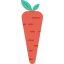 Carrot icon 64x64