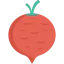 Turnip Ikona 64x64