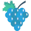 Grapes 상 64x64