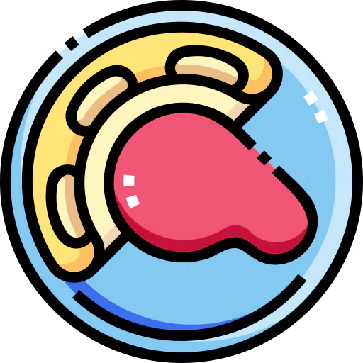 Omelette icon