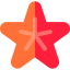 Starfish icon 64x64