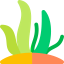 Seaweed icon 64x64