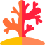 Coral icon 64x64