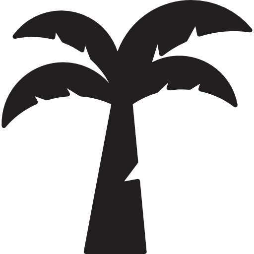 Coconut Tree icon