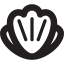 Sea Shell icon 64x64