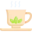 Herbal tea ícono 64x64