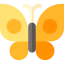 Butterfly icon 64x64