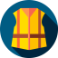 Vest Ikona 64x64