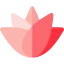 Lotus flower icon 64x64