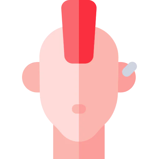 Punk icon