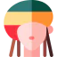 Rasta іконка 64x64