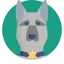 Police dog icon 64x64
