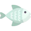 Fish icon 64x64
