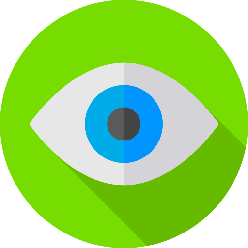 Visual icon