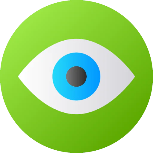 Visual icon