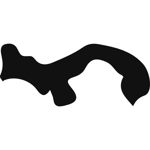 Panama icon