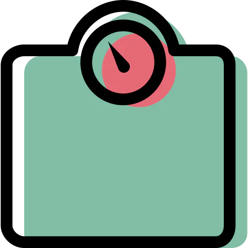 Scale icon