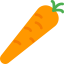Carrot icon 64x64