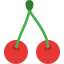 Cherry icon 64x64