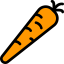 Carrot icon 64x64
