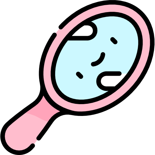 Mirror icon