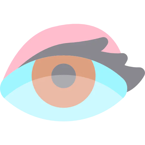 Eye icon