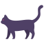 Black cat icon 64x64