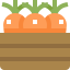 Carrot icon 64x64