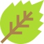 Leaf icon 64x64