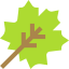 Leaf icon 64x64