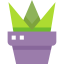 Shrub icon 64x64