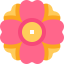 Daisy icon 64x64