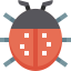 Ladybug 图标 64x64