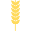 Пшеница иконка 64x64