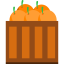 Oranges 图标 64x64