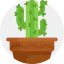 Cactus アイコン 64x64