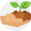 Sprout icon 64x64