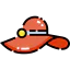 Pamela icon 64x64