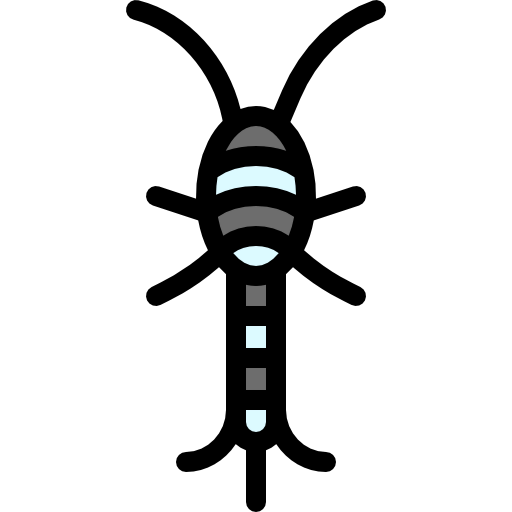 Silverfish icon